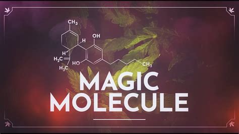 Magic molecule sray